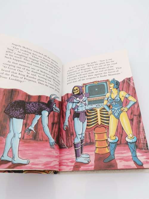VINTAGE MASTERS OF THE UNIVERSE HE MAN MEETS THE BEAST BOOK!!!