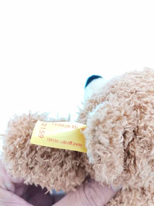 STEIFF TEDDY BEAR MADE IN GERMANY!!
