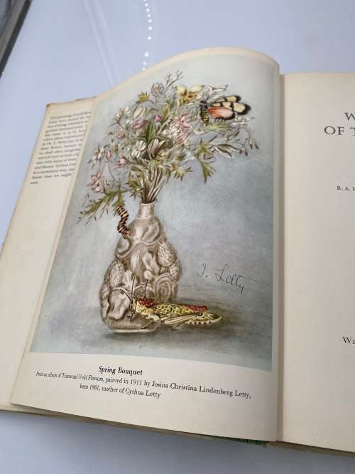 WILD FLOWERS OF THE TRANSVAAL BY CYTHNA LETTY!!