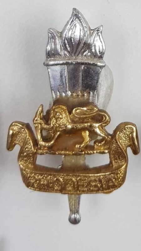 Rhodesian Army badge Lot. Original.