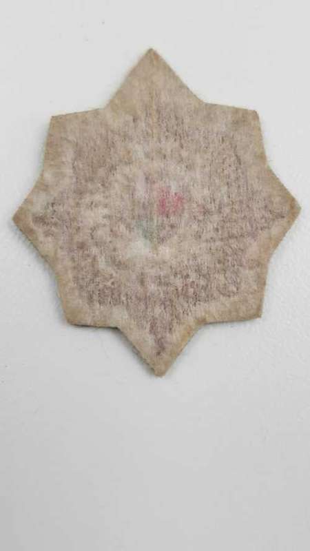 SAP Koevoet cap badge