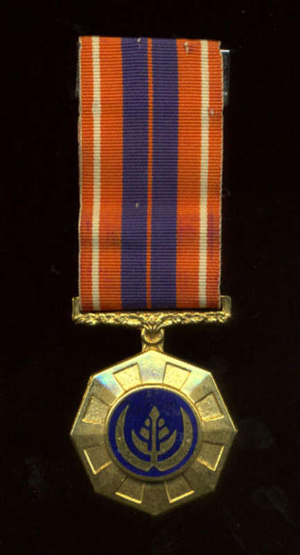 South Africa Pro Patria Medal - No. 191882