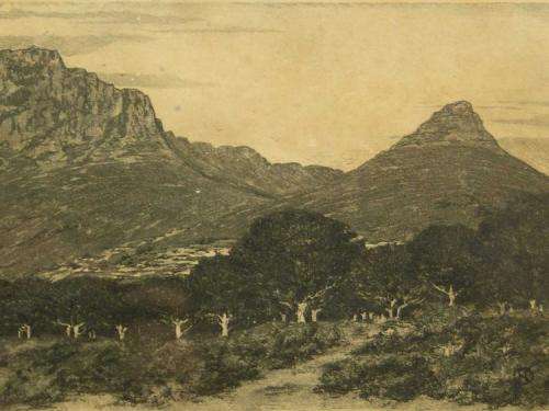 Nita Spilhaus - Lion's Head & Table Mountain