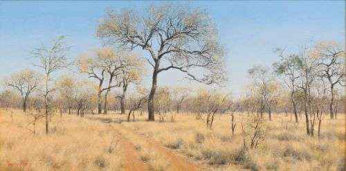 Francois Koch - Bushveld landscape