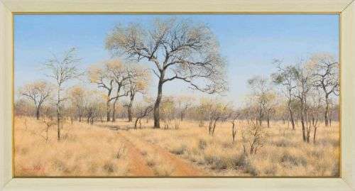 Francois Koch - Bushveld landscape