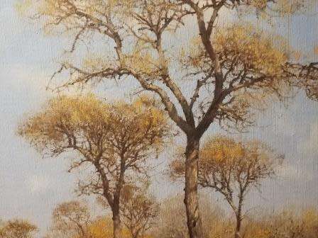 FRANCOIS KOCH - BUSHVELD LANDSCAPE