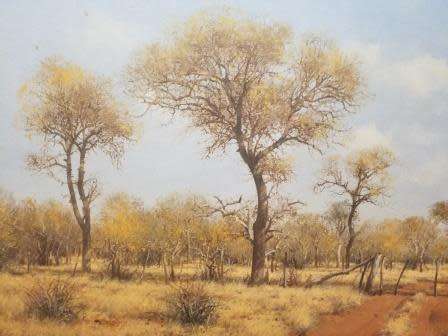 FRANCOIS KOCH - BUSHVELD LANDSCAPE