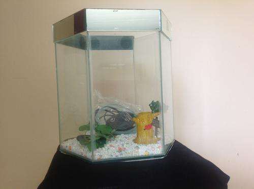 Hexagon Fish Bowl