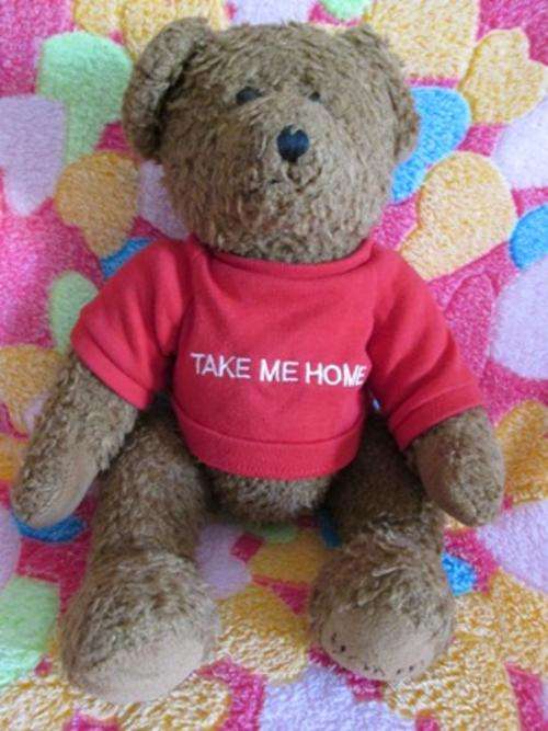 Beautiful Take Me Home Teddy