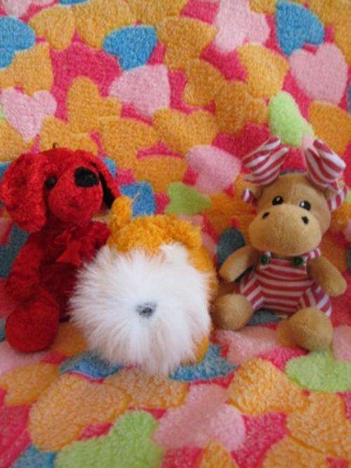 Another Cute Little Bunch of Soft Toys A Wanna Have