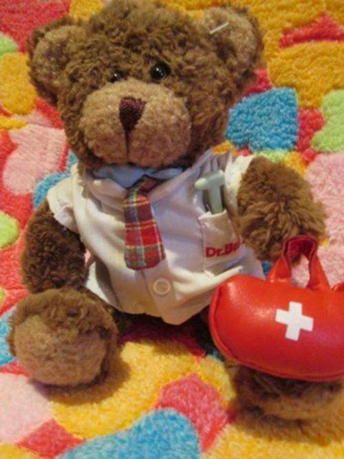 Donald The Doctor - The Teddy Bear Collection