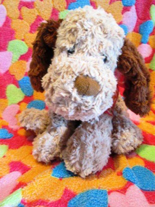 Soft and Cuddly Light and Dark Brown Long Eared Doggy