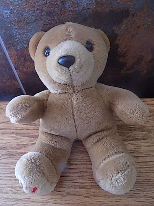 Stuffed Teddy with Black Nose & Brown Eyes