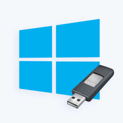 Windows 11 Home/Professional USB Flash Drive with Authentic License