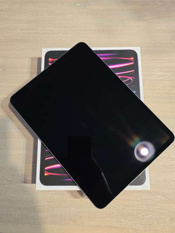 Apple iPad Pro 11-Inch 4th Gen 256GB Wifi + Cellular