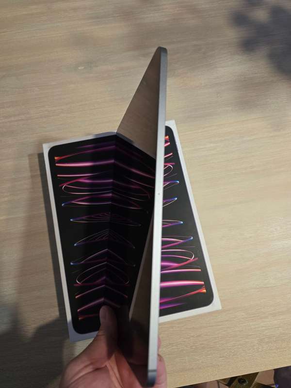 Apple iPad Pro 11-Inch 4th Gen 256GB Wifi + Cellular