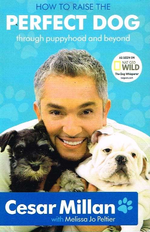 How to raise the perfect dog Cesar Milan