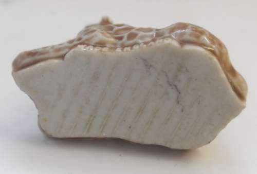 WHIMSIE  MINIATURE SOLID PORCELAIN FIGURE " YOUNG GIRAFFE