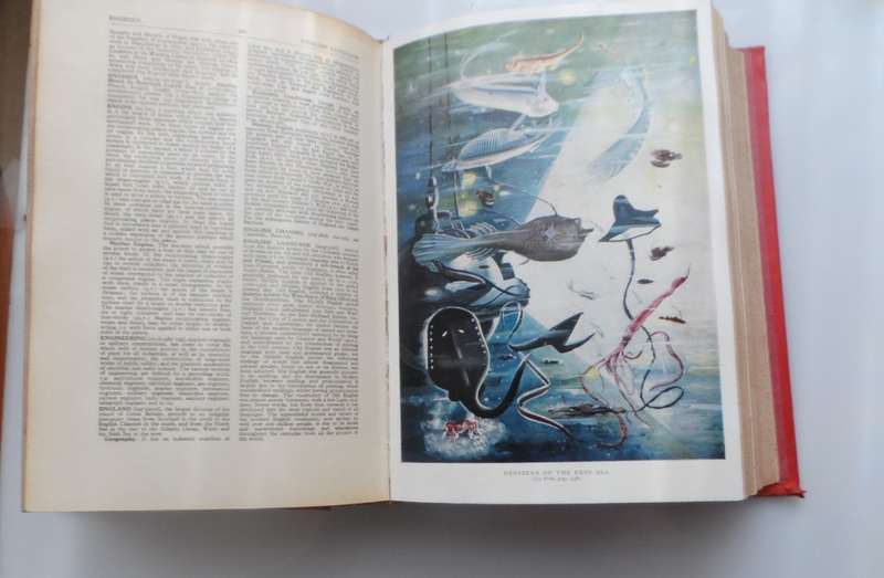 OLDHAMS  THE ILLUSTRATED ENCYCLOPAEDIA  VINTAGE HARD BOUND REPRINT 1960, 969 pages 20 pics fc 37 bw