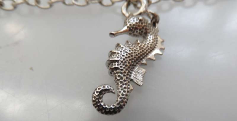 Silver charm bracelet ,turtle, sea horse, starfish,  & nautilus shell charms 800 mm / 31 ins length