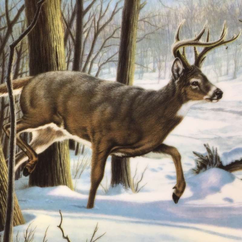 DOMINION CHINA ' THE WHITE TAILED DEER ' by Paul Krapf CABINET / WALL DISPLAY  PLATE