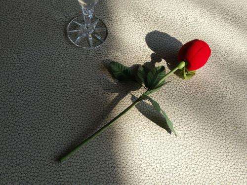 marriage proposal - Storage  Jewellery Box  Velvet Rose 27cm x 4.2cm - for your special day