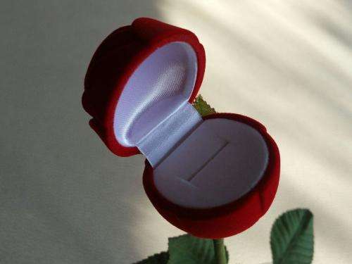 marriage proposal - Storage  Jewellery Box  Velvet Rose 27cm x 4.2cm - for your special day