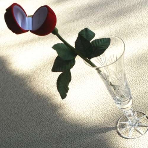 marriage proposal - Storage  Jewellery Box  Velvet Rose 27cm x 4.2cm - for your special day
