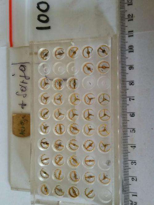 Watch parts balances mechanical diverse -Watchmaker Treasures