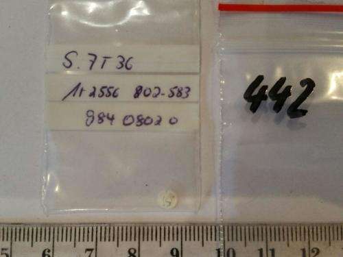 Watch parts-S.7T36   2556   802-583