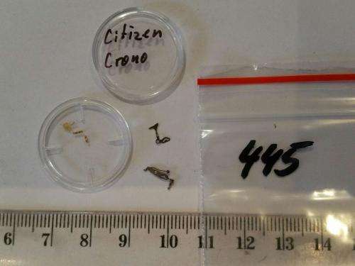 Watch parts-Citizen Chrono parts - Watchmaker Treasure