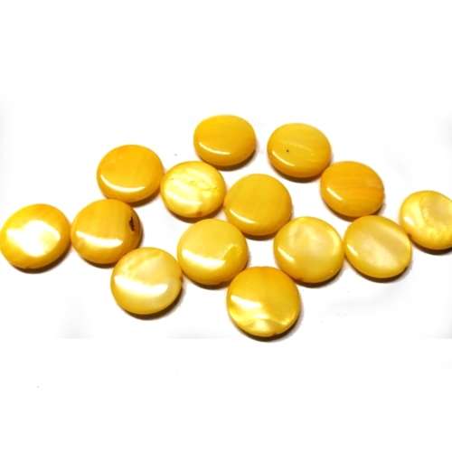 Beads / Shell  Beads +/-15mm -14pcs / Beads for crafting