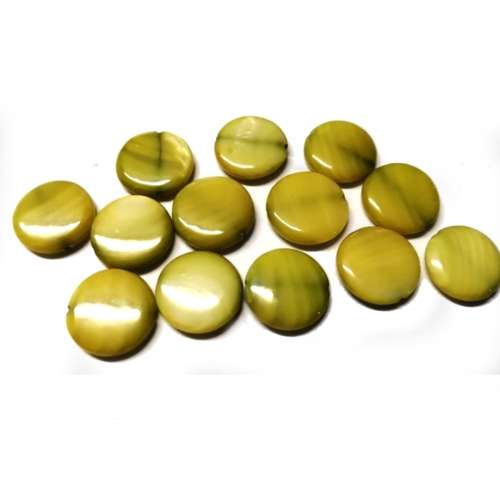 Beads / Shell  Beads +/-15mm -13pcs / Beads for crafting