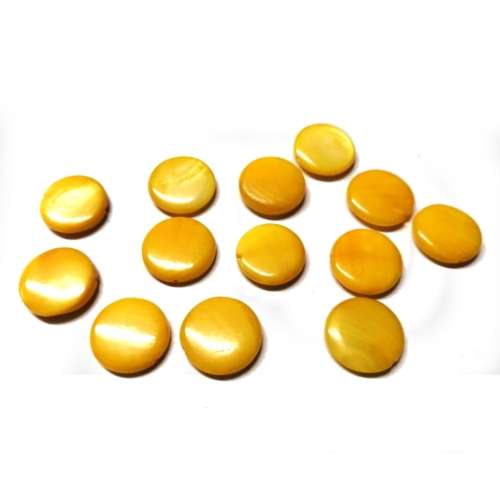 Beads / Shell  Beads +/-15mm -13pcs / Beads for crafting