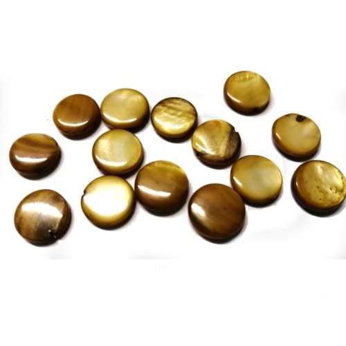 Beads / Shell  Beads +/-13mm -14pcs / Beads for crafting