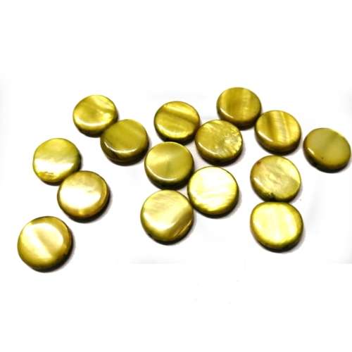 Beads / Shell  Beads +/-13mm -15pcs / Beads for crafting