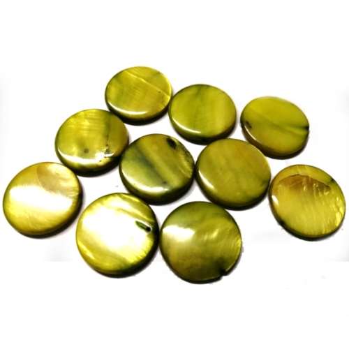 Beads / Shell  Beads +/-20mm -10pcs / Beads for crafting