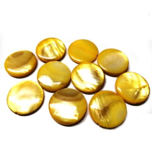 Beads / Shell  Beads +/-20mm -10pcs / Beads for crafting