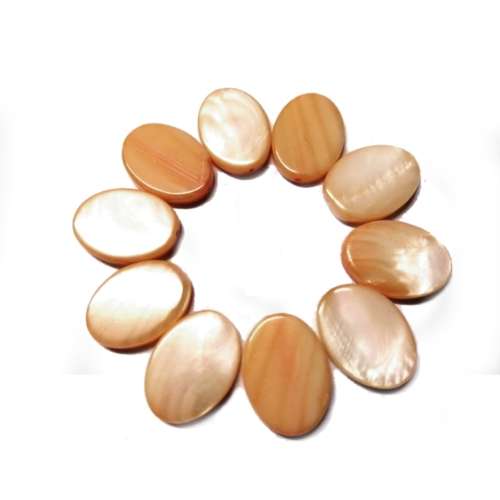 Beads / Shell  Beads +/-18x13mm - Oval - 10pcs / Beads for crafting