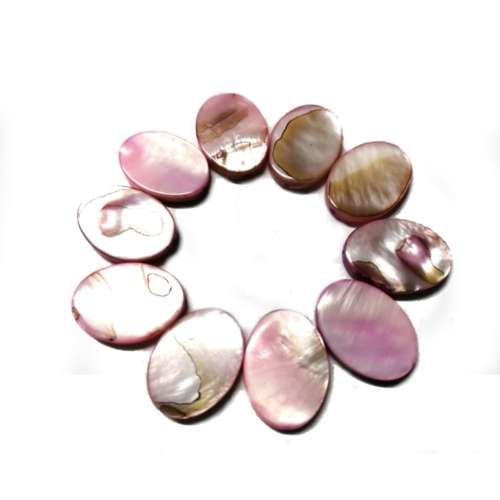 Beads / Shell  Beads +/-18x13mm - Oval - 10pcs / Beads for crafting