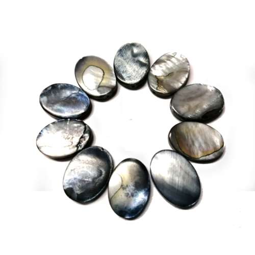 Beads / Shell  Beads +/-18x13mm - Oval - 10pcs / Beads for crafting