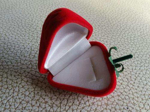 Storage - Gift Jewellery Box Strawberry  6.5cm x 4.5cm NEW-red velours