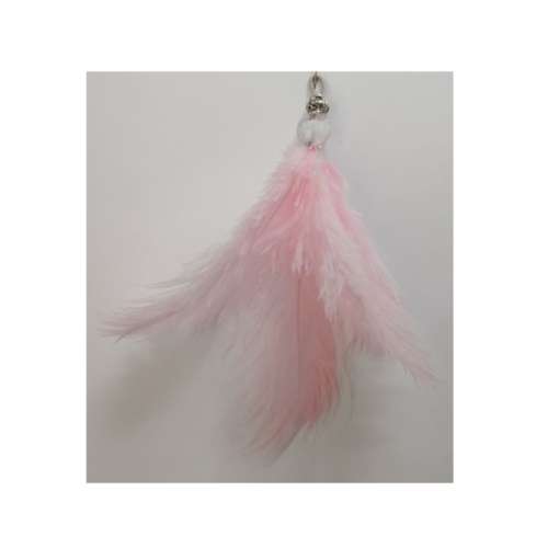 Ostrich Feather Key Hanger