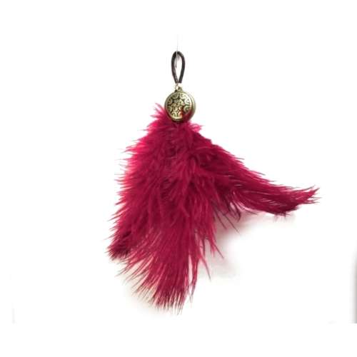 Ostrich Feather Key Hanger