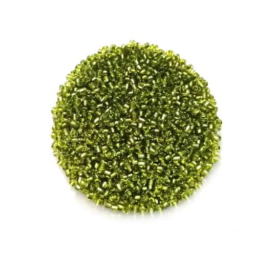 Beads / Glass  Seed Beads +/-650pcs -2mm Size 11- Grass Green / Beads for crafting