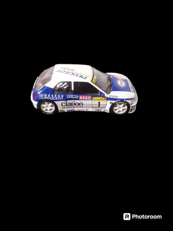 Peugeot 306 Maxi Model Rally Car