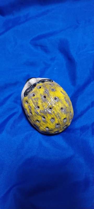 Ugly Paper weight or Ornament ! Must have Item! Very Distracting !
