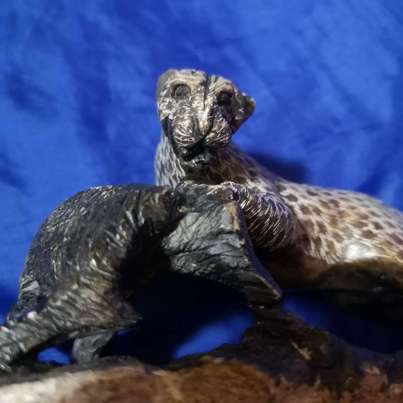 Leopard Rock Art. Vintage