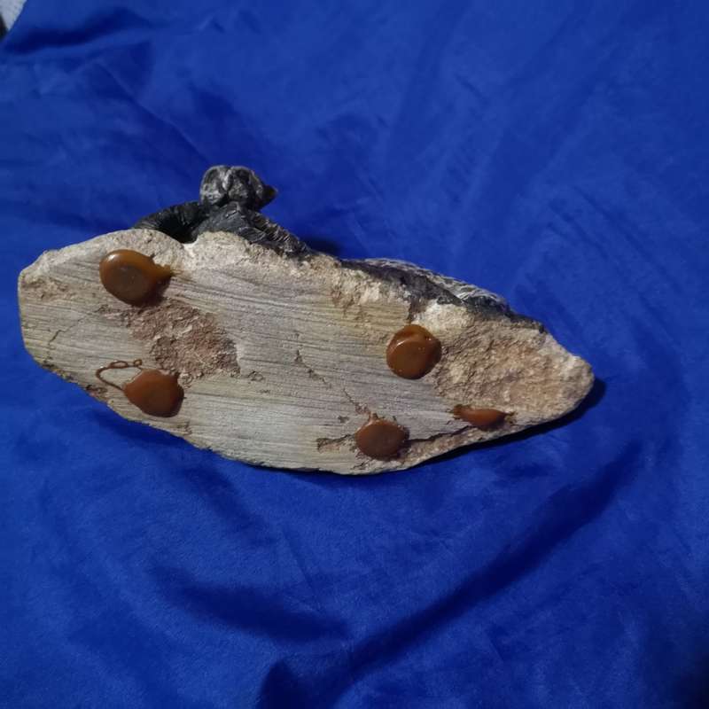 Leopard Rock Art. Vintage