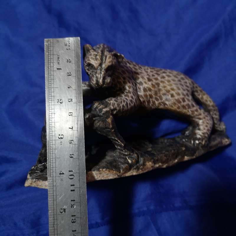 Leopard Rock Art. Vintage